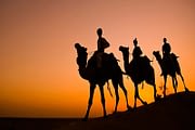 camel riding safari tour