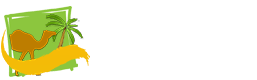 desert safari Dubai  2022